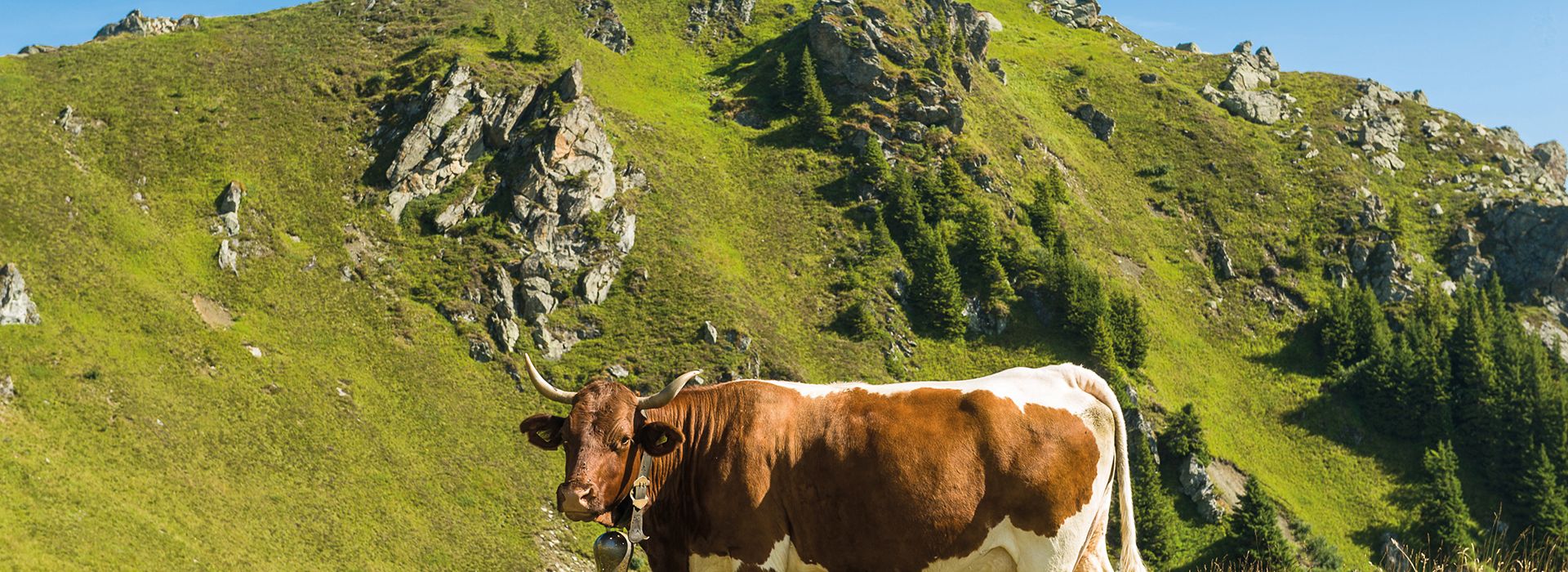 Urlaub Im Gasteinertal 21